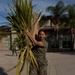 MAG-39 Participates in Operation Clean Sweep III
