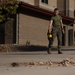 MAG-39 Participates in Operation Clean Sweep III