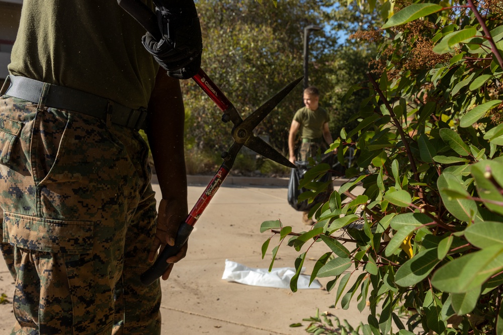 MAG-39 participates in Operation Clean Sweep III