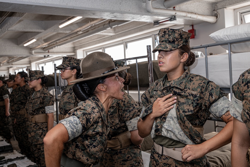 DVIDS - Images - Echo Company Series Commander Inspection [Image 4 of 7]