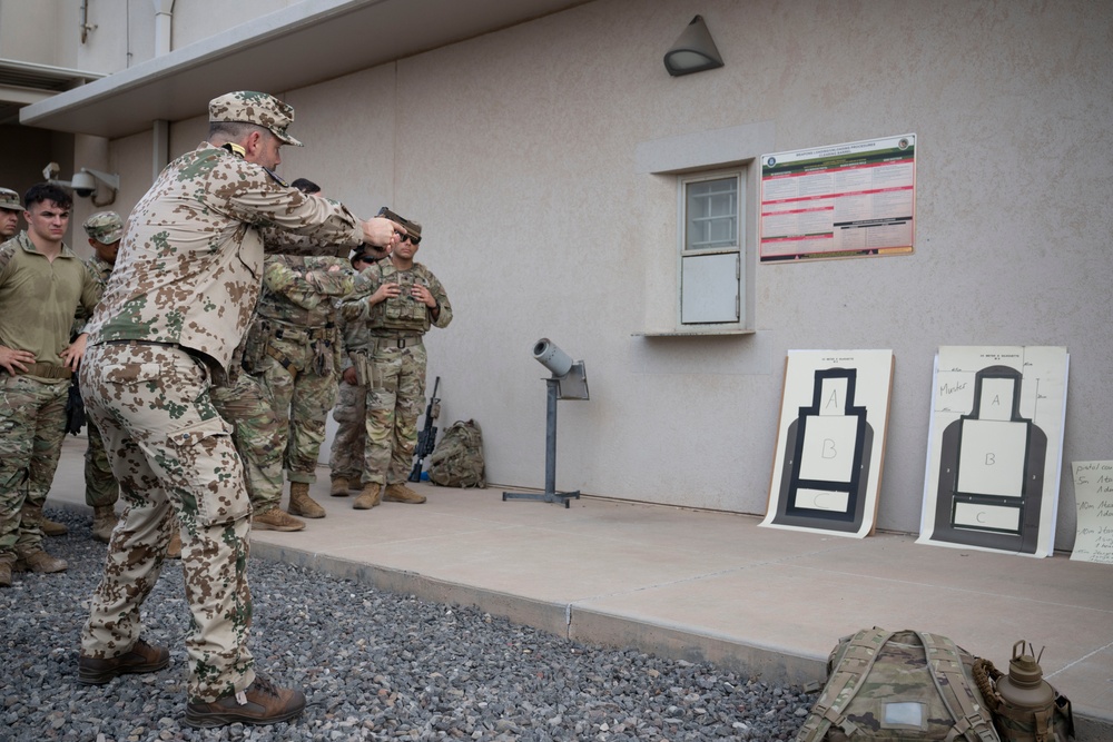 US service members participate in German Armed Forces Proficiency Badge course