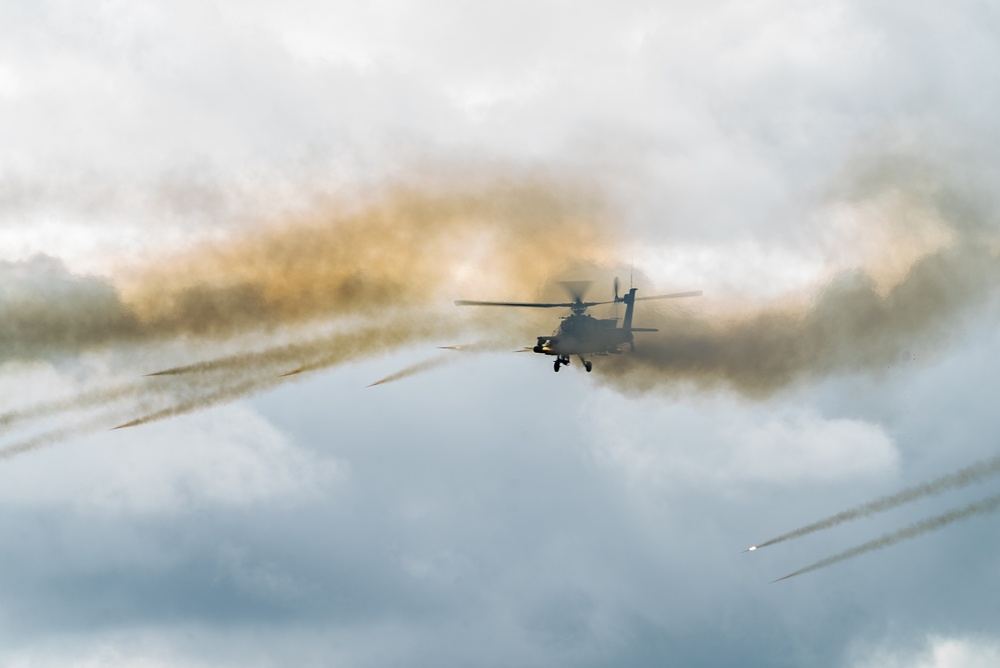Polish, U.S. and Dutch forces demonstrate combined arms capabilities during Iron Defender-25