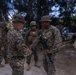 3rd Marine Logistics Group commanding general joins convoy operations