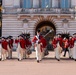 Fife and Drum Corps performs at Buckingham Palace Changing of the Guard