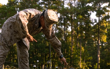 November Company Crucible