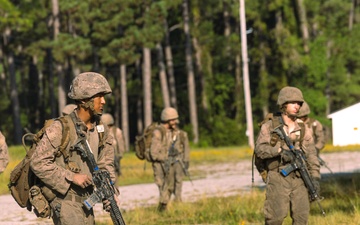 November Company Crucible