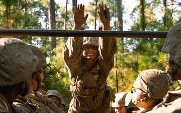 November Company Crucible