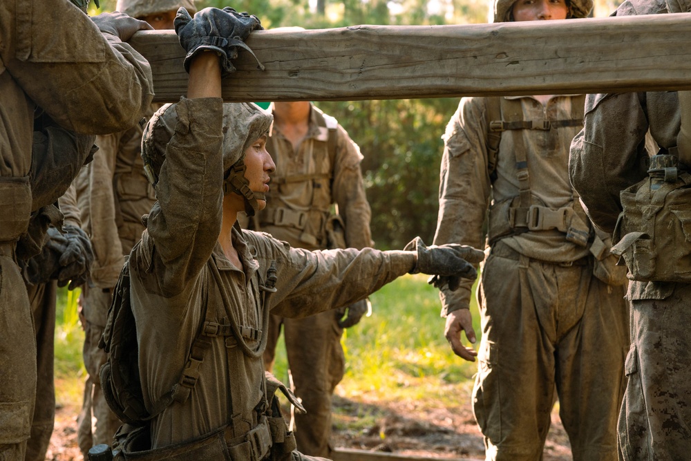 November Company Crucible
