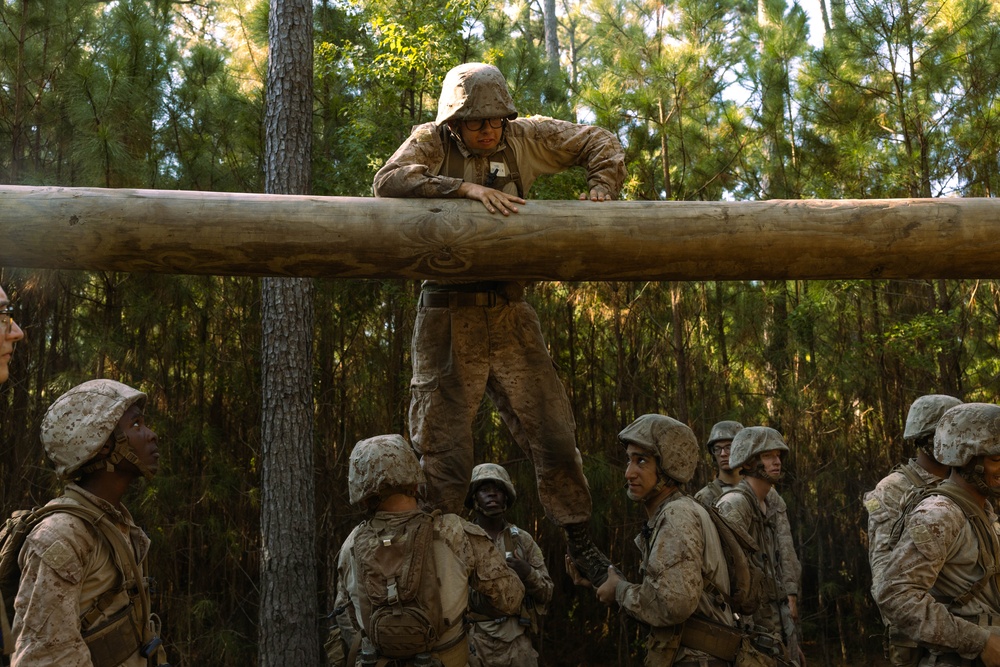 November Company Crucible