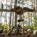 November Company Crucible