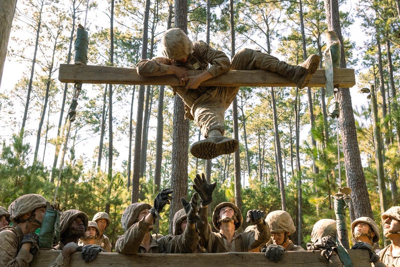 November Company Crucible