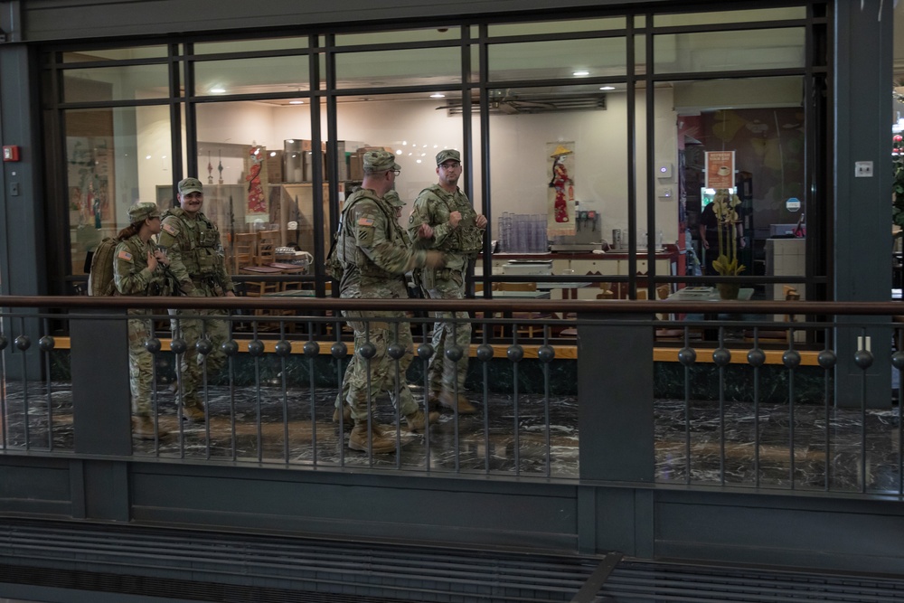 Joint Task Force Presence Patrol