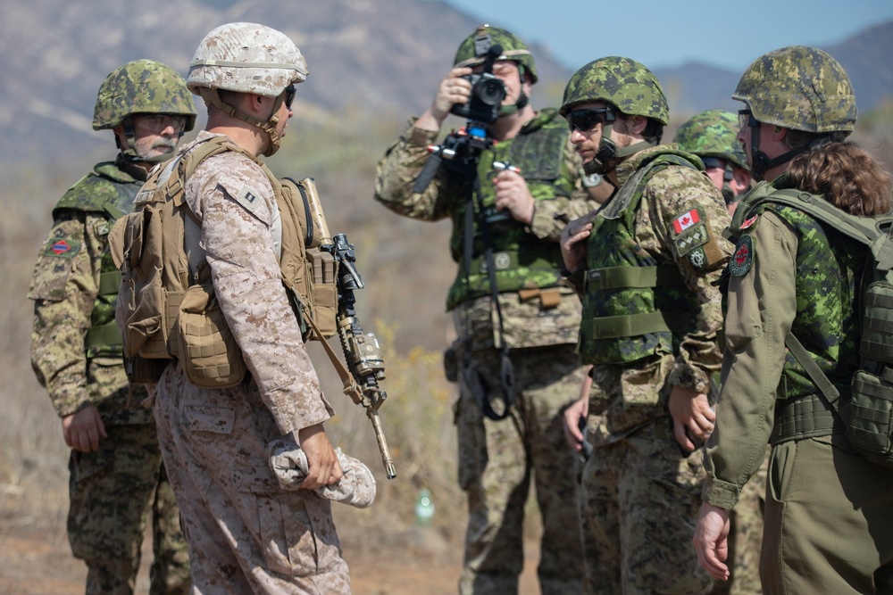 1st Bn., 11th Marines conduct HIMARS fire mission during Cobra Fury 25.2