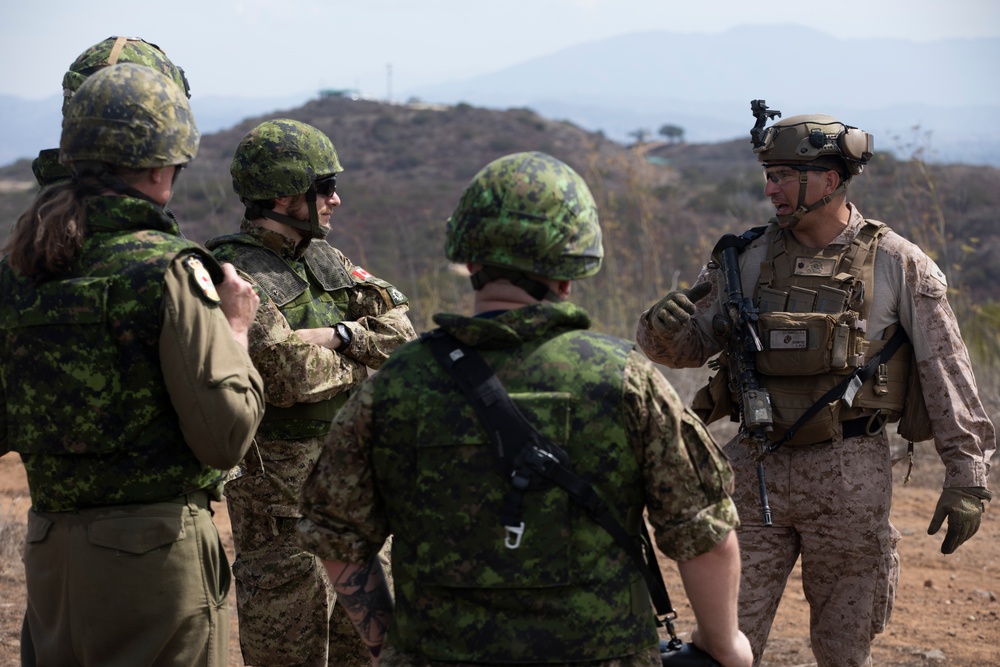 1st Bn., 11th Marines conduct HIMARS fire mission during Cobra Fury 25.2