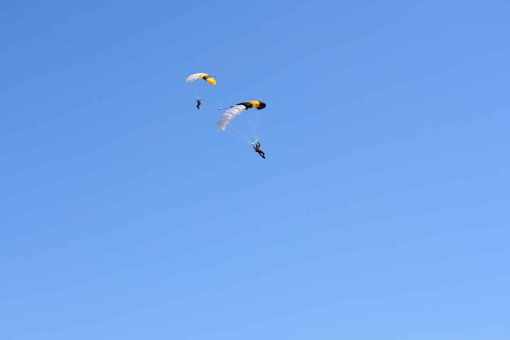 Black Knights in Synchronized Descent