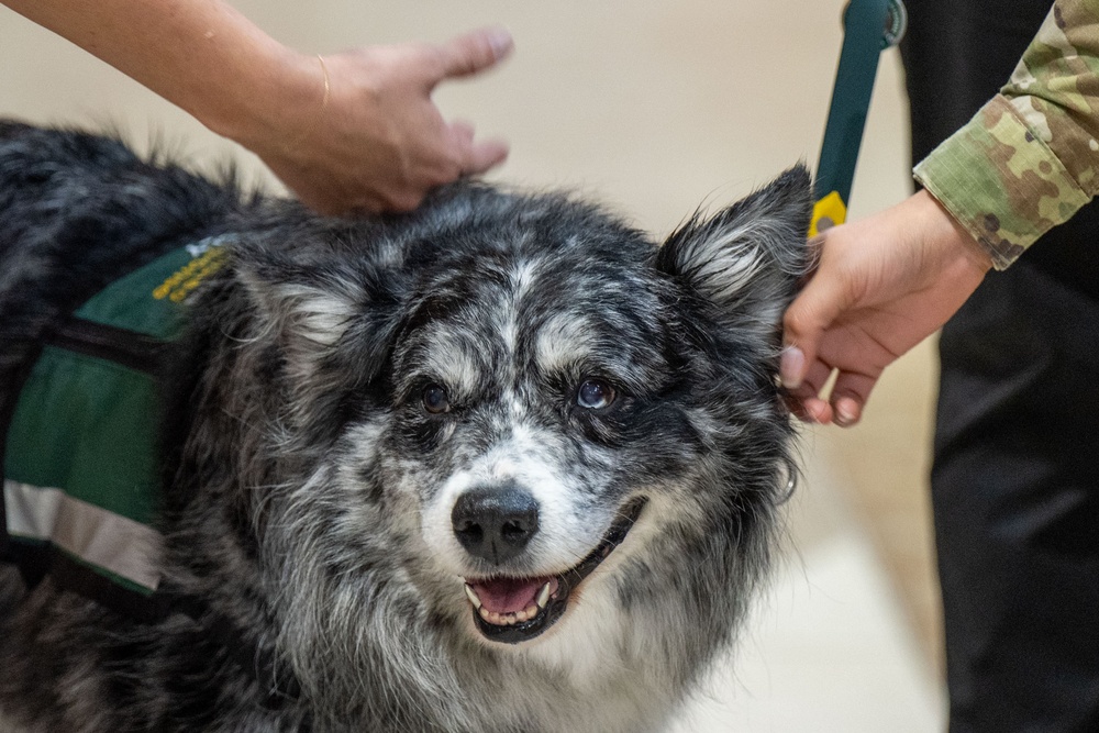 Hope Dogs: Furry Friends at McConnell