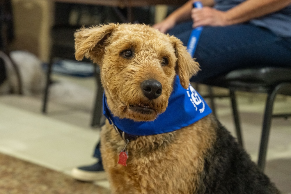 Hope Dogs: Furry Friends at McConnell