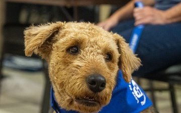 Hope Dogs: Furry Friends at McConnell