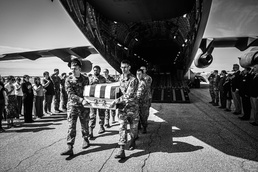 The long road home: Putting a name to the fallen