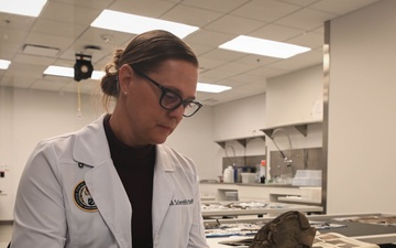 The long road home: Putting a name to the fallen