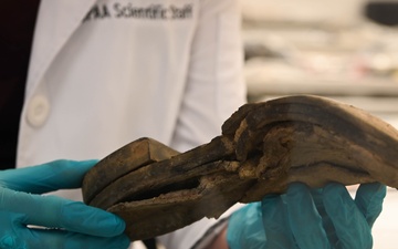 The long road home: Putting a name to the fallen