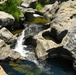 Explore the Stanislaus - Diana Pool and Falls