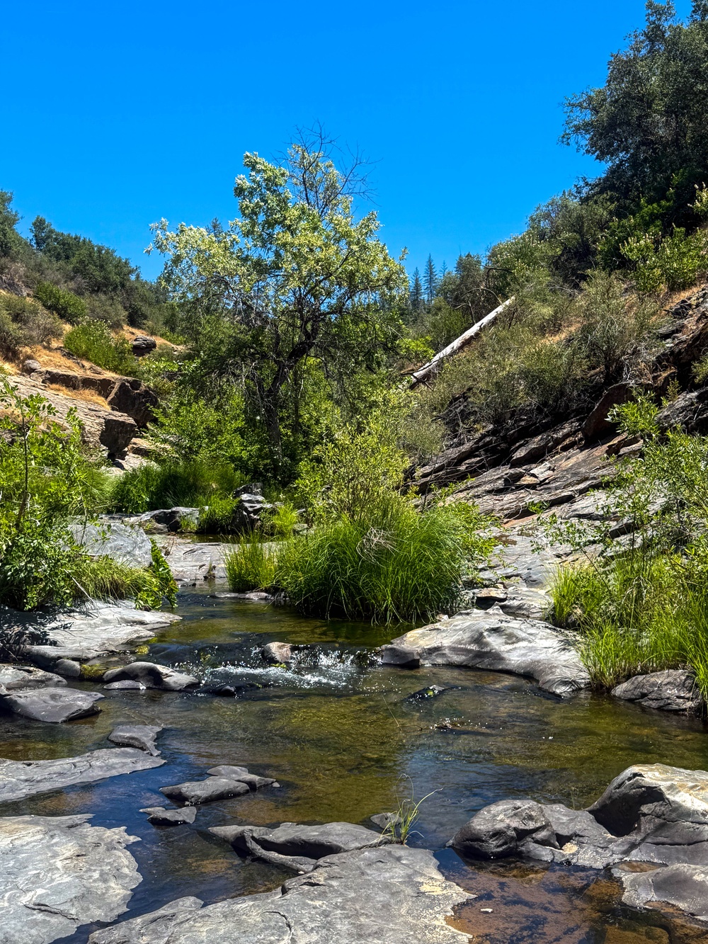 Explore the Stanislaus - Diana Pool and Falls