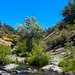 Explore the Stanislaus - Diana Pool and Falls