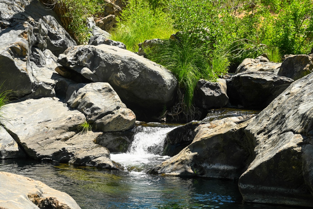 Explore the Stanislaus - Diana Pool and Falls