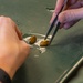Mussel Tagging for Reintroduction in the Cuyahoga River