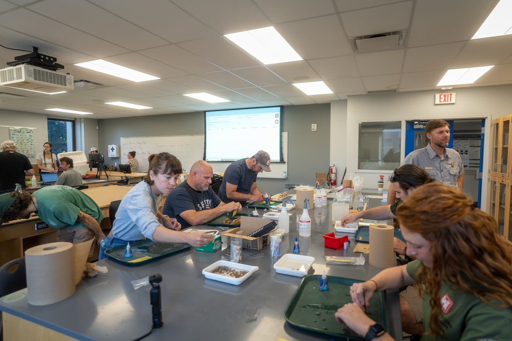 Mussel Tagging for Reintroduction in the Cuyahoga River