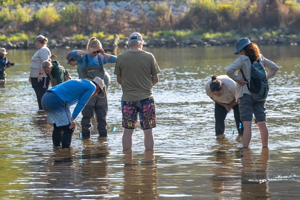 Mussel Reintroduction in the Cuyahoga River