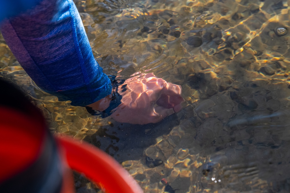 Mussel Reintroduction in the Cuyahoga River