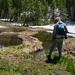 Yosemite Toad Survey at Highland Lake