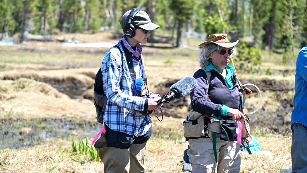 Yosemite Toad Survey at Highland Lake