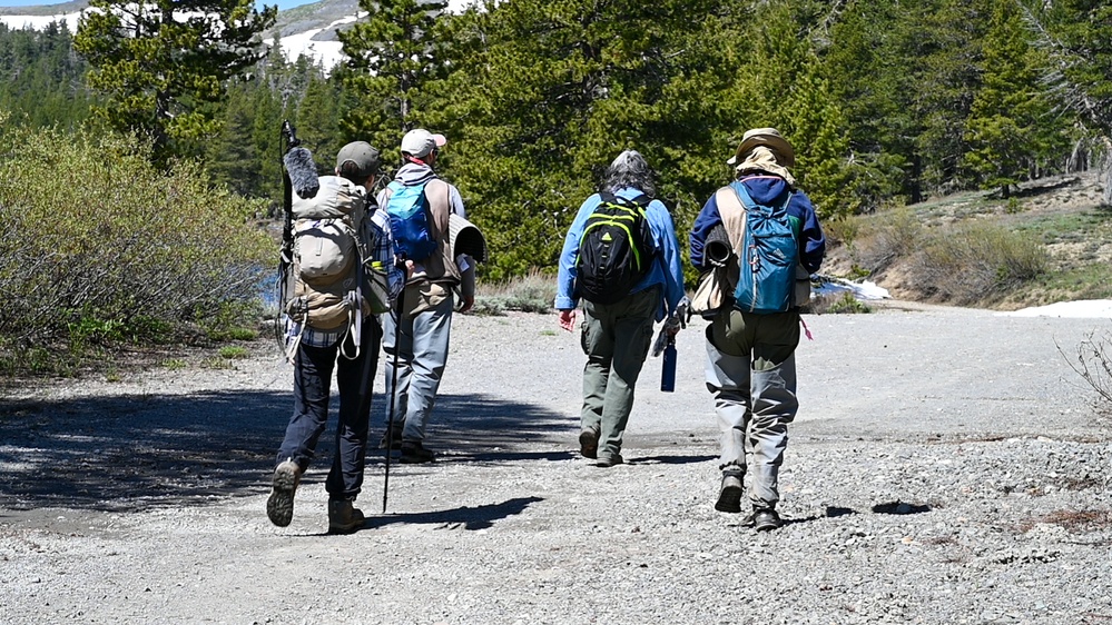 Yosemite Toad Survey at Highland Lake