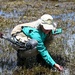 Yosemite Toad Survey at Highland Lake