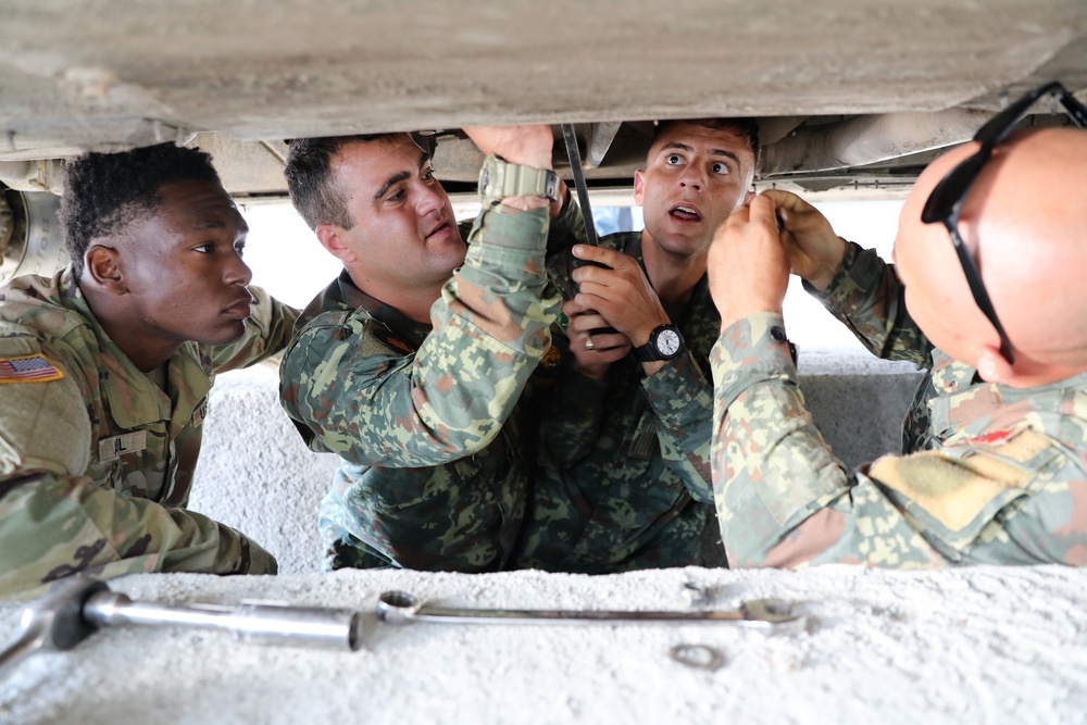 State Partnership Program '25