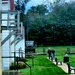 September 2025 views at Fort McCoy's historic Commemorative Area