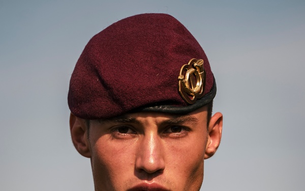 Market Garden 81 - Falcon Leap