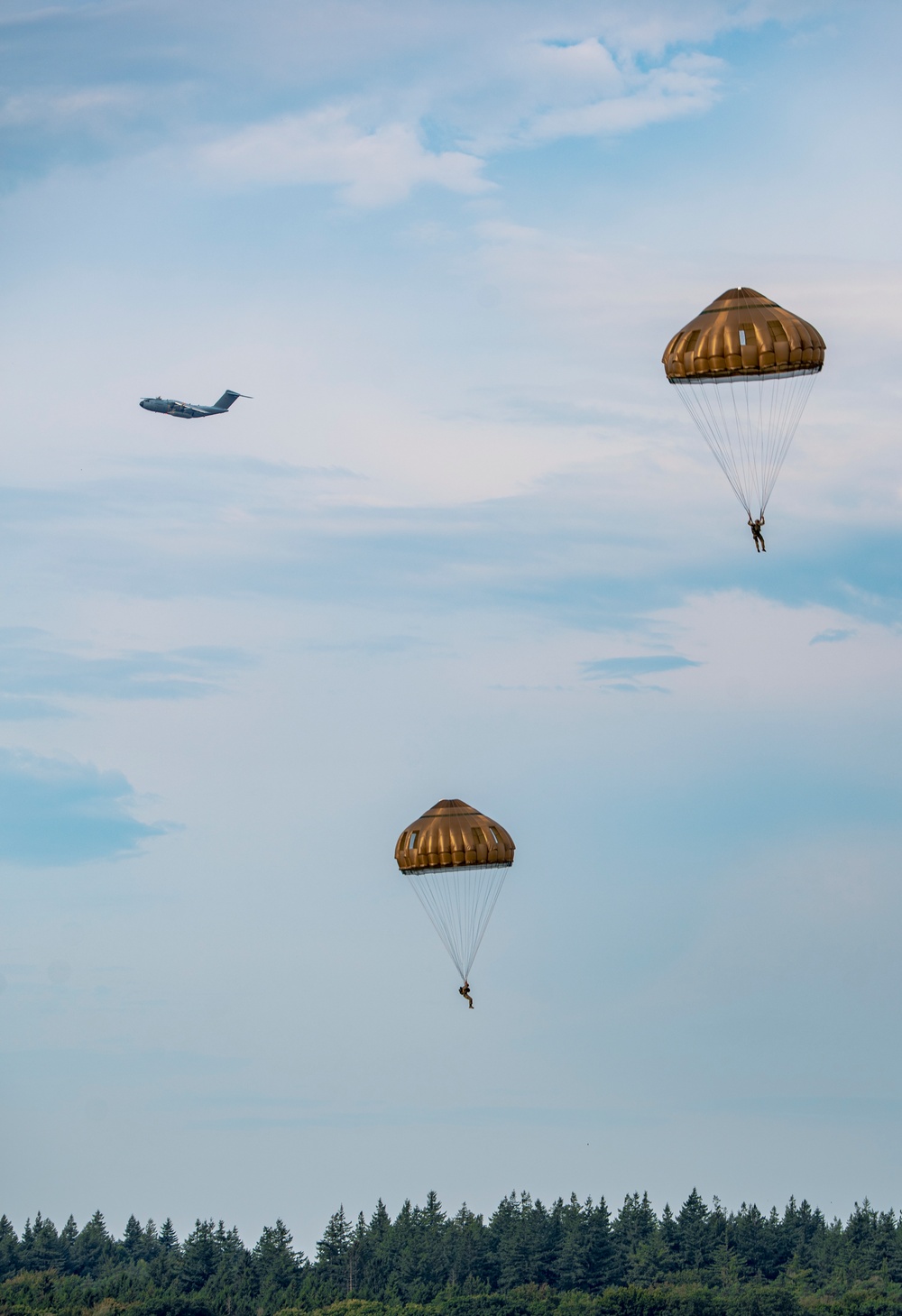 Market Garden 81 - Falcon Leap