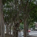 JTF- Area Beautification at the African American Civil War Monument