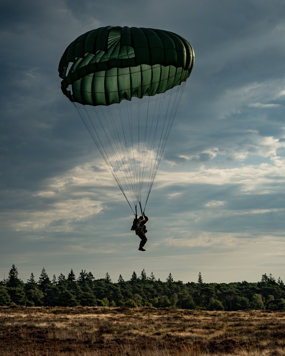 Falcon Leap Airborne Operation For Market Garden 81.