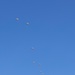 UNITAS 2025: US Marines conduct Sustainment Jumps With Partner Nations