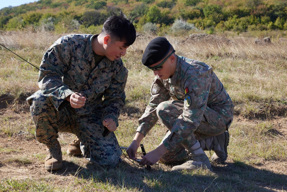 Heracleea 25 Radio Operator Skills