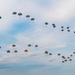 Market Garden 81 - Falcon Leap