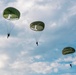 Market Garden 81 - Falcon Leap