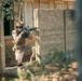 UNITAS 2025: Multinational Forces Conduct Force on Force Urbanized Terrain Training