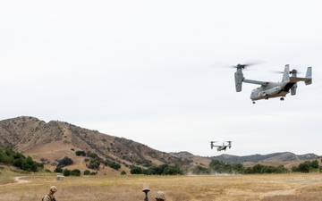 11th MEU participates in TRAP course Day 2