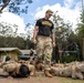 Indo-Pacific servicemembers conduct Pre-Ranger course (SURT) in Hawaii